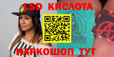 прущие грибы Коммунар