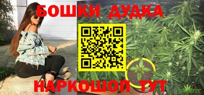прущие грибы Коммунар